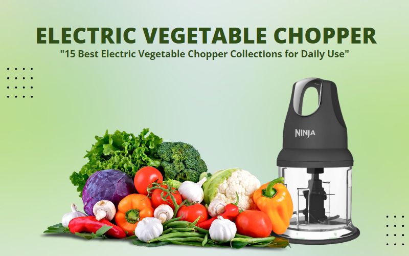 15 Best Electric Vegetable Chopper Collections for Daily Use